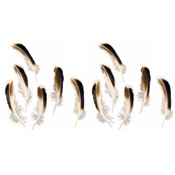 24 PLUMES NOIR - BRUN - BLANC 12 CM 