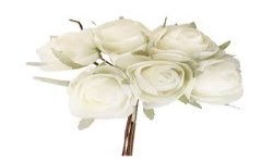 BOUQUET 6 RENONCULES IVOIRE HAUTEUR 19CM 