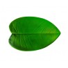 FEUILLE ANTHURIUM 44 X 28.5CM