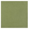 20 SERVIETTES RAINBOW AIRLAID VERT OLIVE, SAUGE OU EUCALYPTUS 40 X 40 CM 