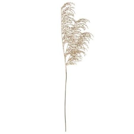 BRANCHE DE PAMPA PAILLETTES CHAMPAGNE 75 CM 