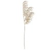 BRANCHE DE PAMPA PAILLETTES CHAMPAGNE 75 CM  BRANCHE DE PAMPA PAILLETTES CHAMPAGNE 75 CM