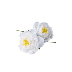 2 JOLIES PIVOINES BLANCHES SUR TIGE 8 X 12 CM 