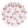 10 ASSIETTES RONDES FLAMANT ROSE 23 CM 