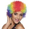 PERRUQUE CLOWN MULTICOLORE 