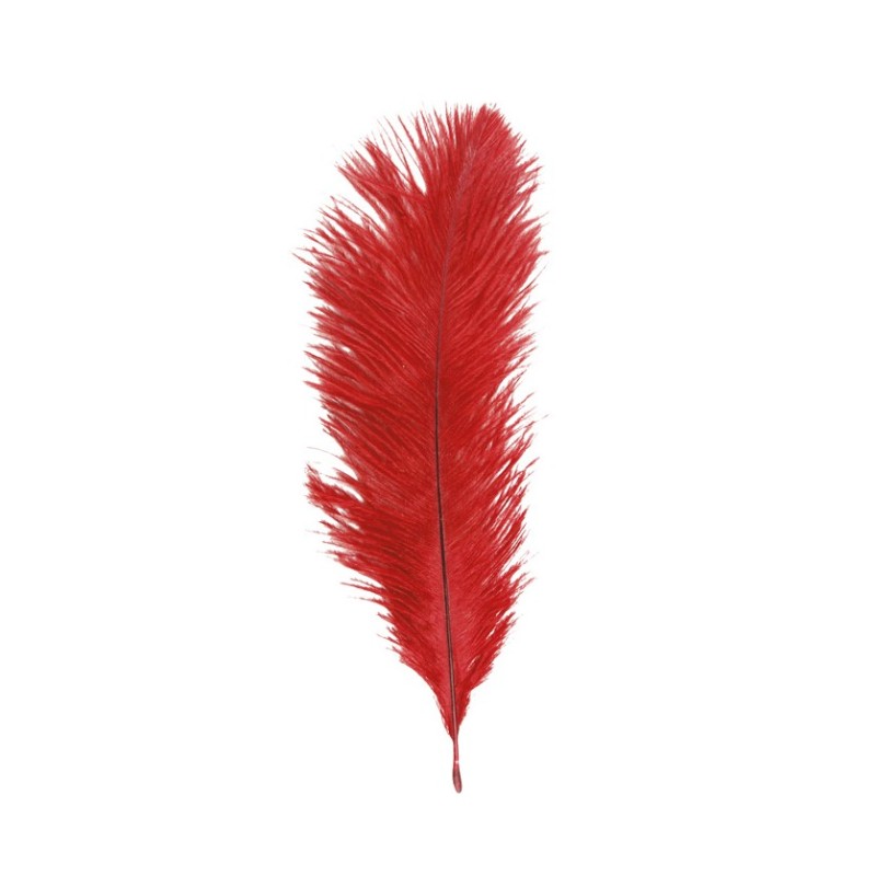 5 PLUMES AUTRUCHE ROUGES 20-25CM