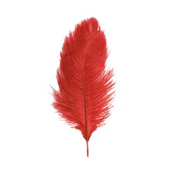 2 PLUMES AUTRUCHE ROUGES 30-35CM