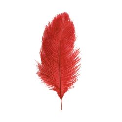 2 PLUMES AUTRUCHE ROUGES 30-35CM