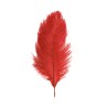 2 PLUMES AUTRUCHE ROUGES 30-35CM