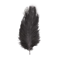 2 PLUMES AUTRUCHE NOIRES 30-35CM