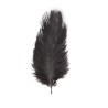 2 PLUMES AUTRUCHE NOIRES 30-35CM