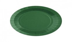 10 ASSIETTES CARTON RONDE VERT SAPIN 18 CM 