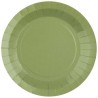 10 ASSIETTES CARTON RONDE OLIVE  18 CM 