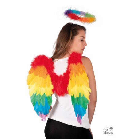 AILES PLUMES MULTICOULEURS ARC EN CIEL 50 X 50 CM