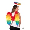 AILES PLUMES MULTICOULEURS ARC EN CIEL 50 X 50 CM