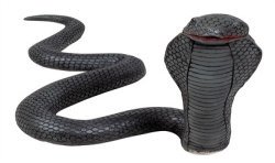 SERPENT COBRA EN LATEX 31X65CM