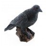 DECORATION CORBEAU RESINE NOIR 17 CM X 7.5 CM X 13.5 CM 