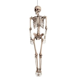 DECORATION HALLOWEEN SQUELETTE BOB 160 CM 