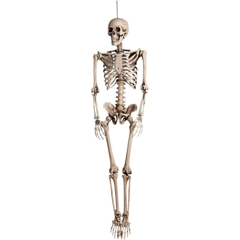 DECORATION HALLOWEEN SQUELETTE BOB 160 CM 