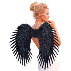 AILES NOIRES PLUMES 85 X 60 CM