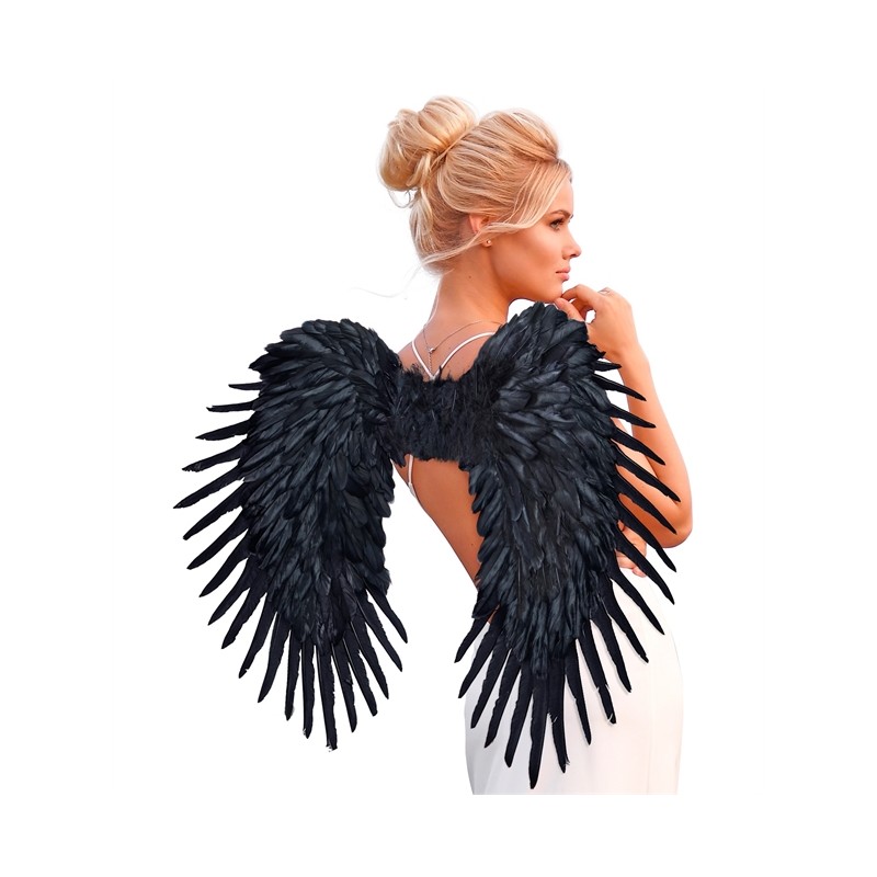 AILES NOIRES PLUMES 85 X 60 CM