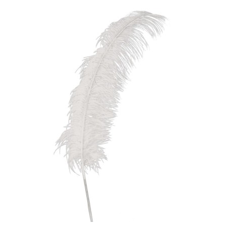 PLUME D'AUTRUCHE BLANCHE 50 CM 