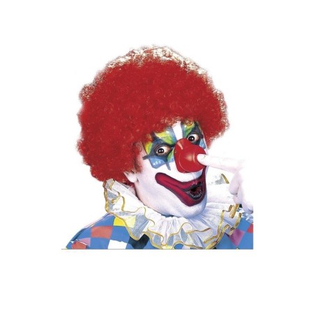 PERRUQUE CLOWN COULEURS ASSORTIS 