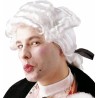 PERRUQUE HOMME CASANOVA MARQUIS QUEUE DE CHEVAL BLANCHE PERRUQUE HOMME CASANOVA MARQUIS QUEUE DE CHEVAL BLANCHE