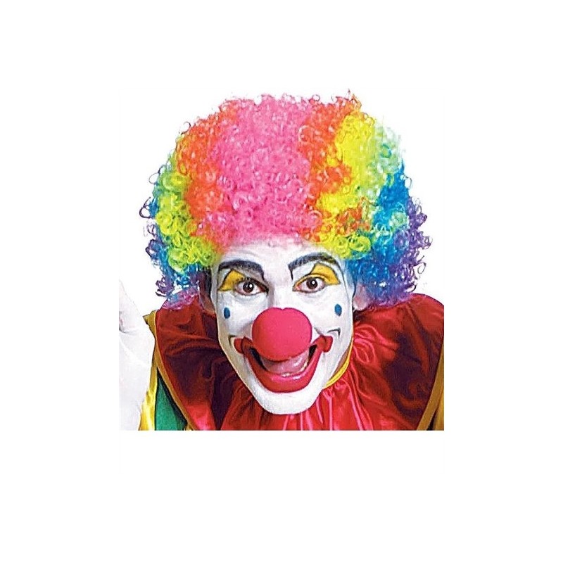 PERRUQUE CLOWN MULTICOLORE  PERRUQUE CLOWN MULTICOLORE