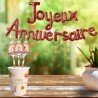 GUIRLANDE BALLON JOYEUX ANNIVERSAIRE TERRACOTTA 3 METRES 
