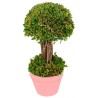 ARBUSTRE VERT DANS LE POT 12 X 21.5 CM HT 