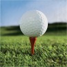 16 SERVIETTES EN PAPIER THEME GOLF 33 X 33 CM