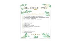 JEU DEFIS PHOTO 12 PIECES 