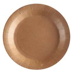 10 ASSIETTES CARTON RONDE KRAFT  22 CM 