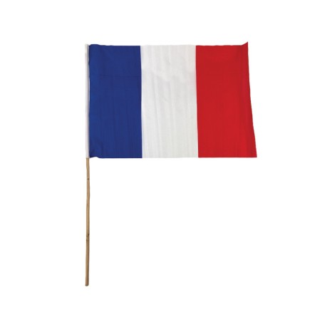 DRAPEAU FRANCE 45 X 30 CM HAMPE 