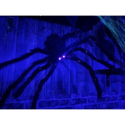 ARAIGNEE POILUE NOIRE 75CM LED VIOLETTES SUR TOUTES LES PATTES