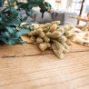 BOUQUET DE ENV 50 PHALARIS BEIGE ENV 60CM
