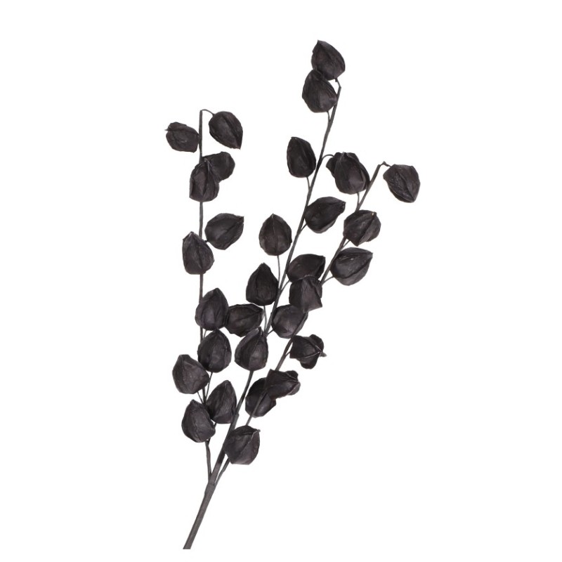 BRANCHE PHYSALIS NOIRE 82CM