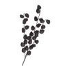 BRANCHE PHYSALIS NOIRE 82CM