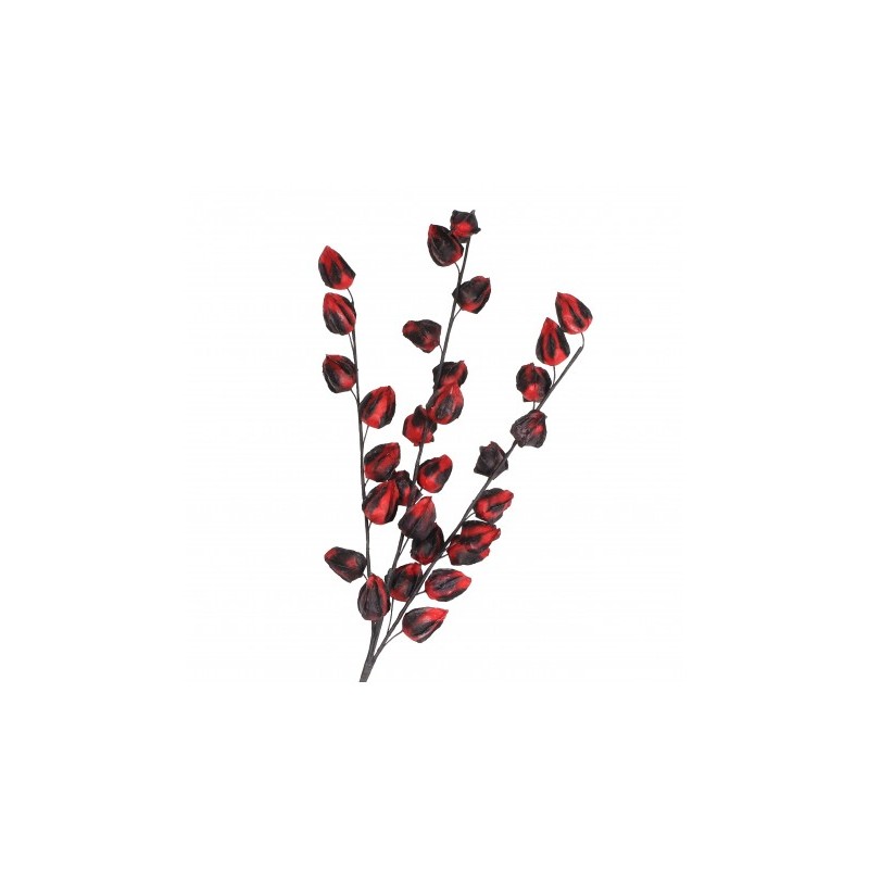 BRANCHE PHYSALIS NOIRE ET ROUGE 82CM