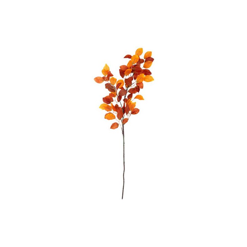 BRANCHE DE HETRE D'AUTOMNE DEGRADE DE ROUILLE 1 METRE