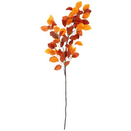 BRANCHE DE HETRE D'AUTOMNE DEGRADE DE ROUILLE 1 METRE