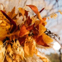 BRANCHE DE HETRE D'AUTOMNE DEGRADE DE ROUILLE 1 METRE