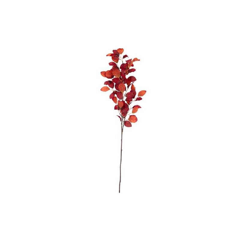 BRANCHE DE HETRE D'AUTOMNE DEGRADE DE MARSALA 1 METRE