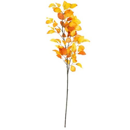 BRANCHE DE HETRE D'AUTOMNE DEGRADE DE JAUNE 1 METRE