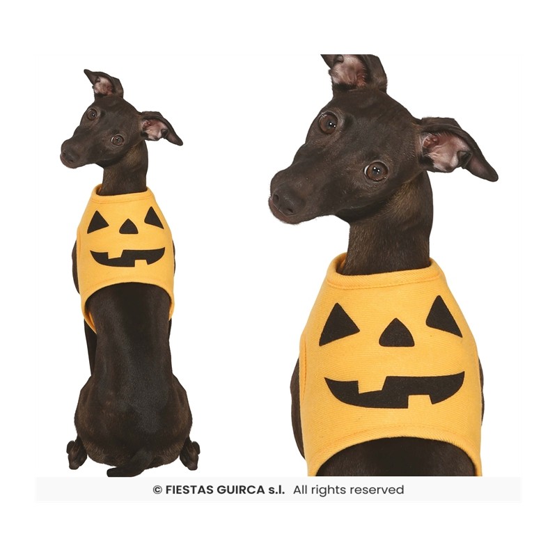 DEGUISEMENT HALLOWEEN CITROUILLE POUR CHIEN TAILLE S