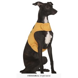 DEGUISEMENT HALLOWEEN CITROUILLE POUR CHIEN TAILLE S