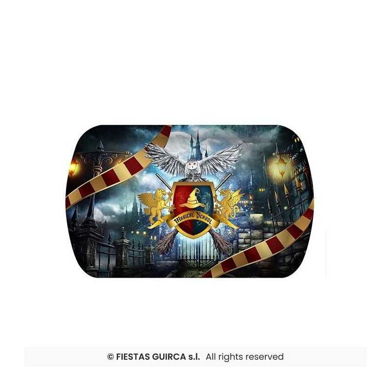 PLATEAU HARRY POTTER MAGICIEN 29 X 15 X 3.5 CM