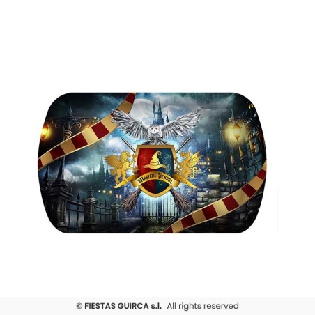 PLATEAU HARRY POTTER MAGICIEN 29 X 15 X 3.5 CM