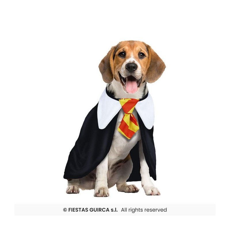 DEGUISEMENT HALLOWEEN ETUDIANT HARRY POUR CHIEN TAILLE S